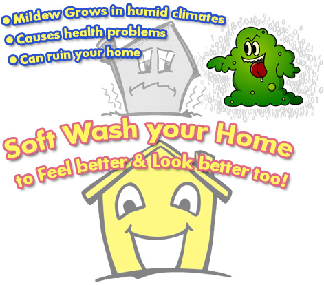 mold,mildew,clean your house,power wash house,pressure wash